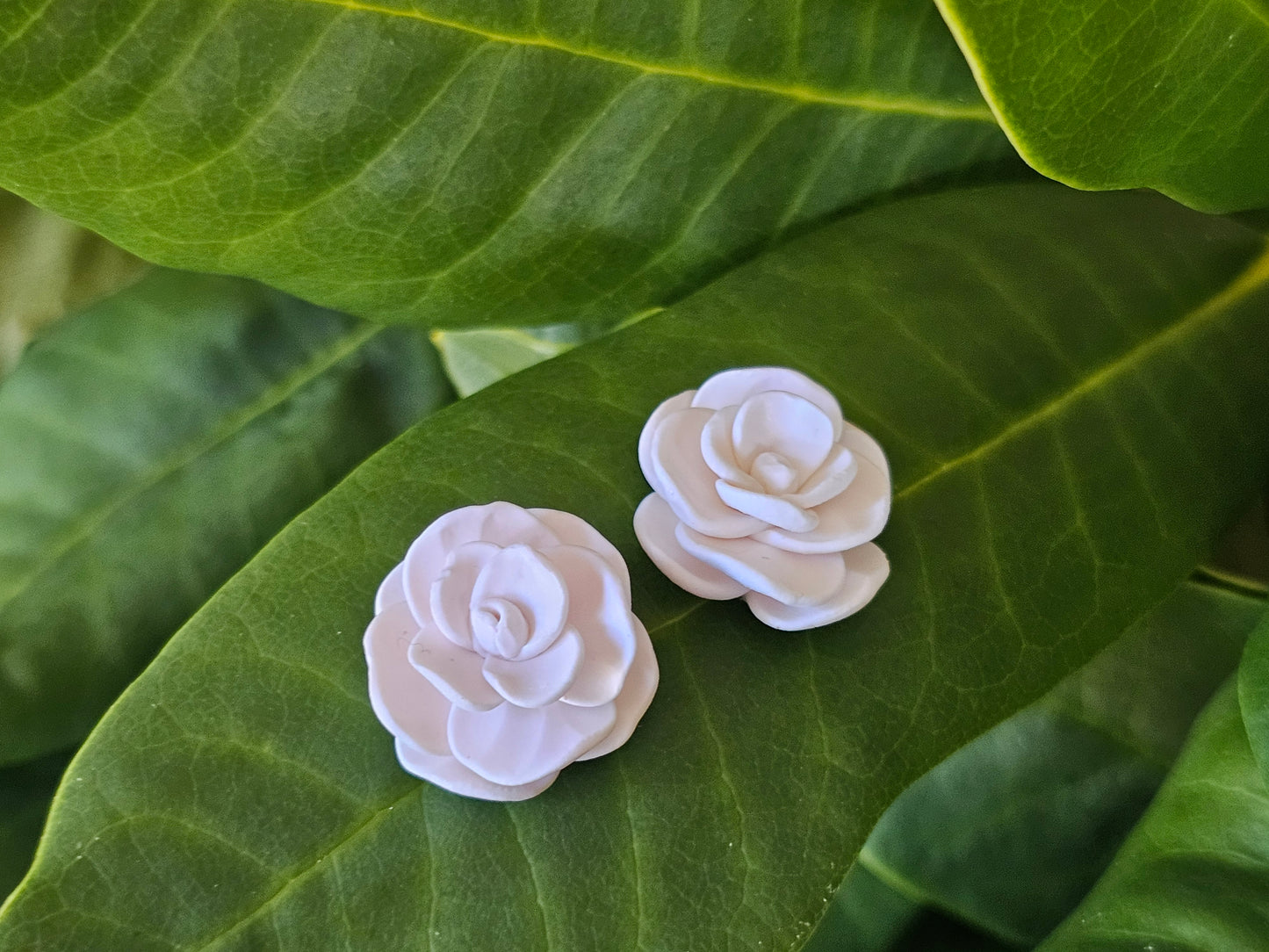 Cammellia Studs White