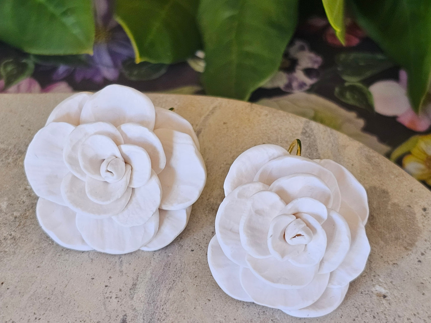 Cammellia French Hook Earrings White