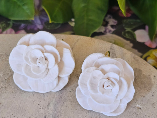 Cammellia French Hook Earrings White