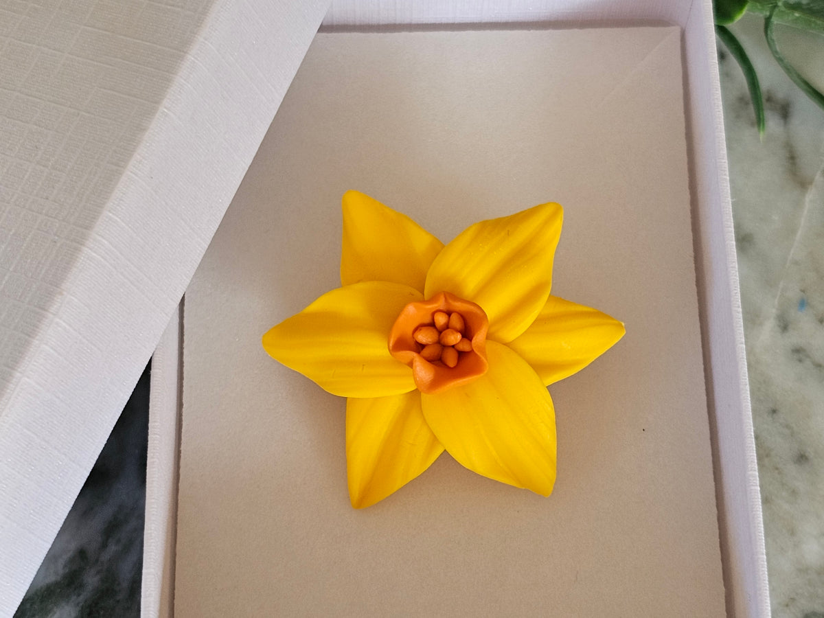 Daffodil Large Brooch