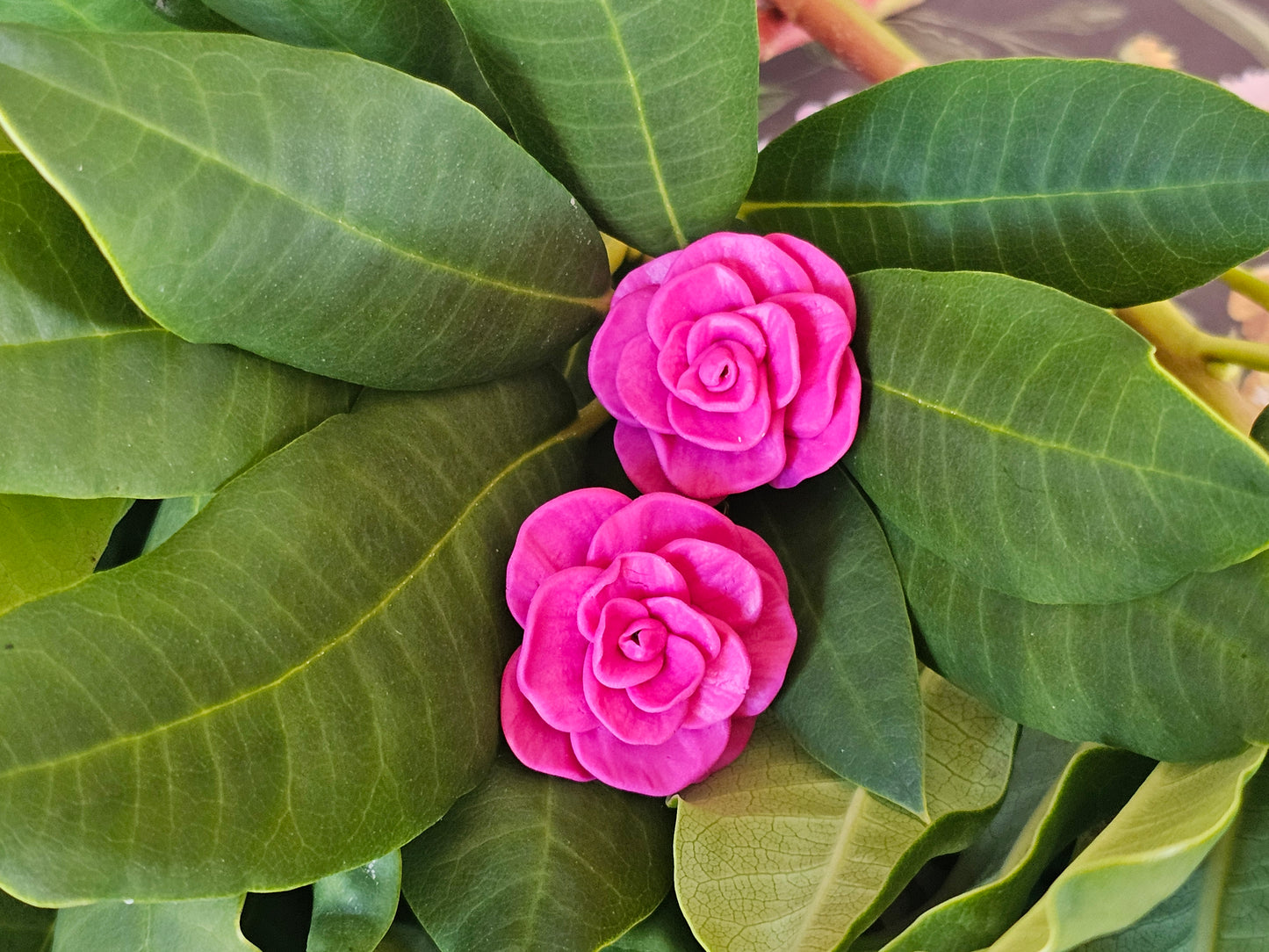 Cammellia French Hook Earrings Magenta