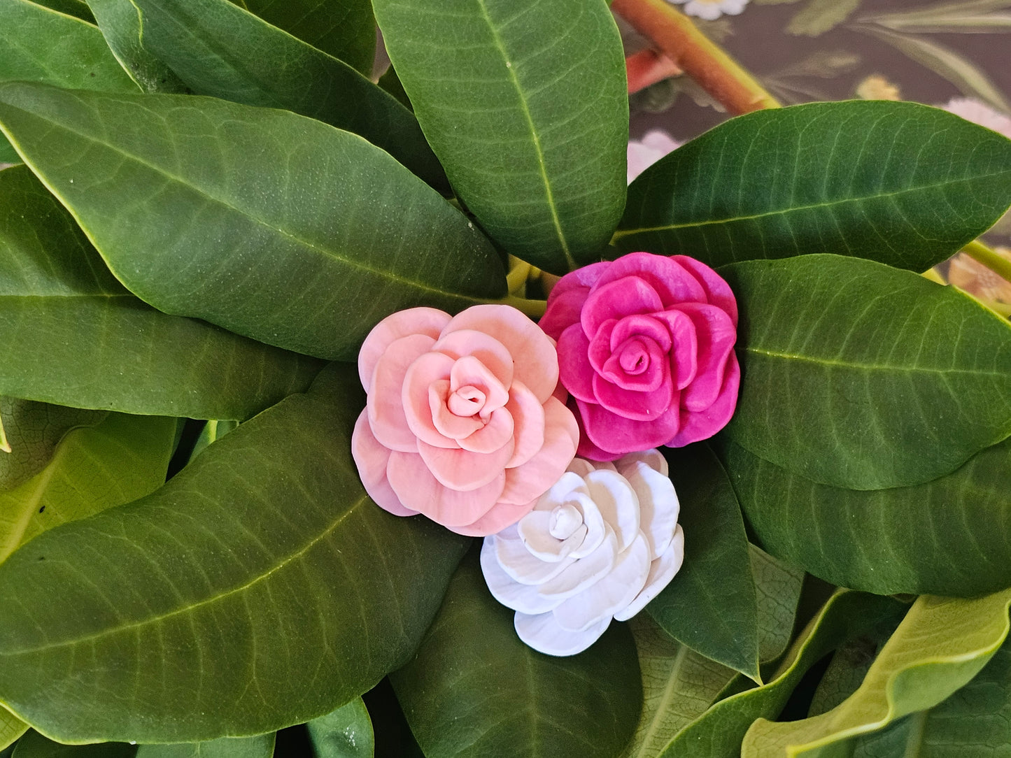 Cammellia French Hook Earrings Magenta