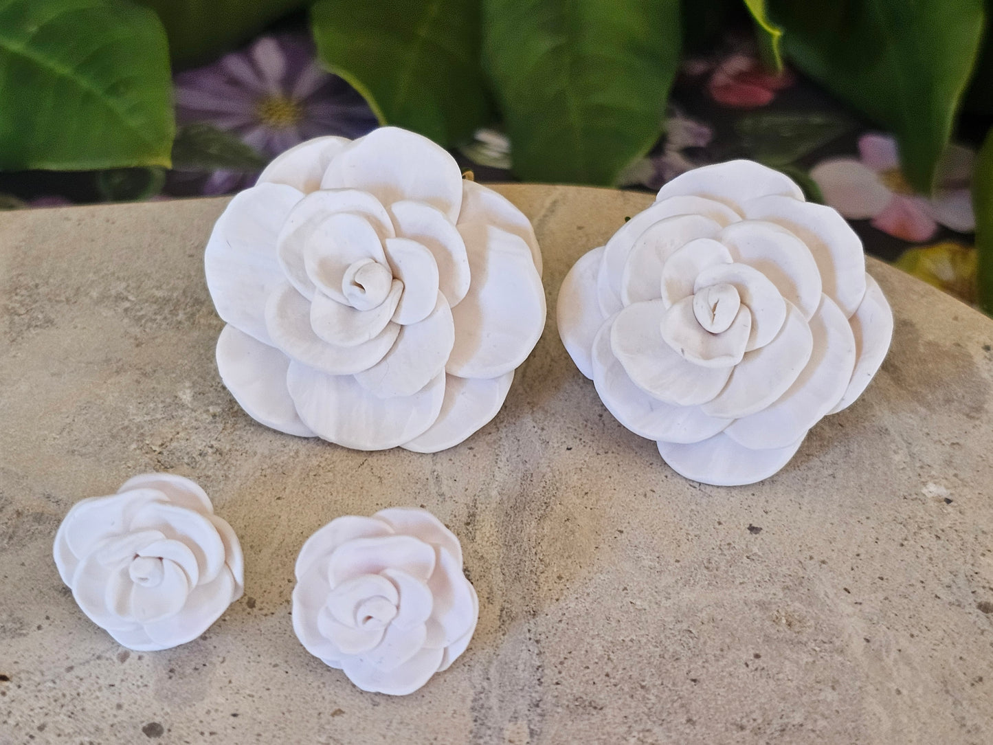 Cammellia Studs White