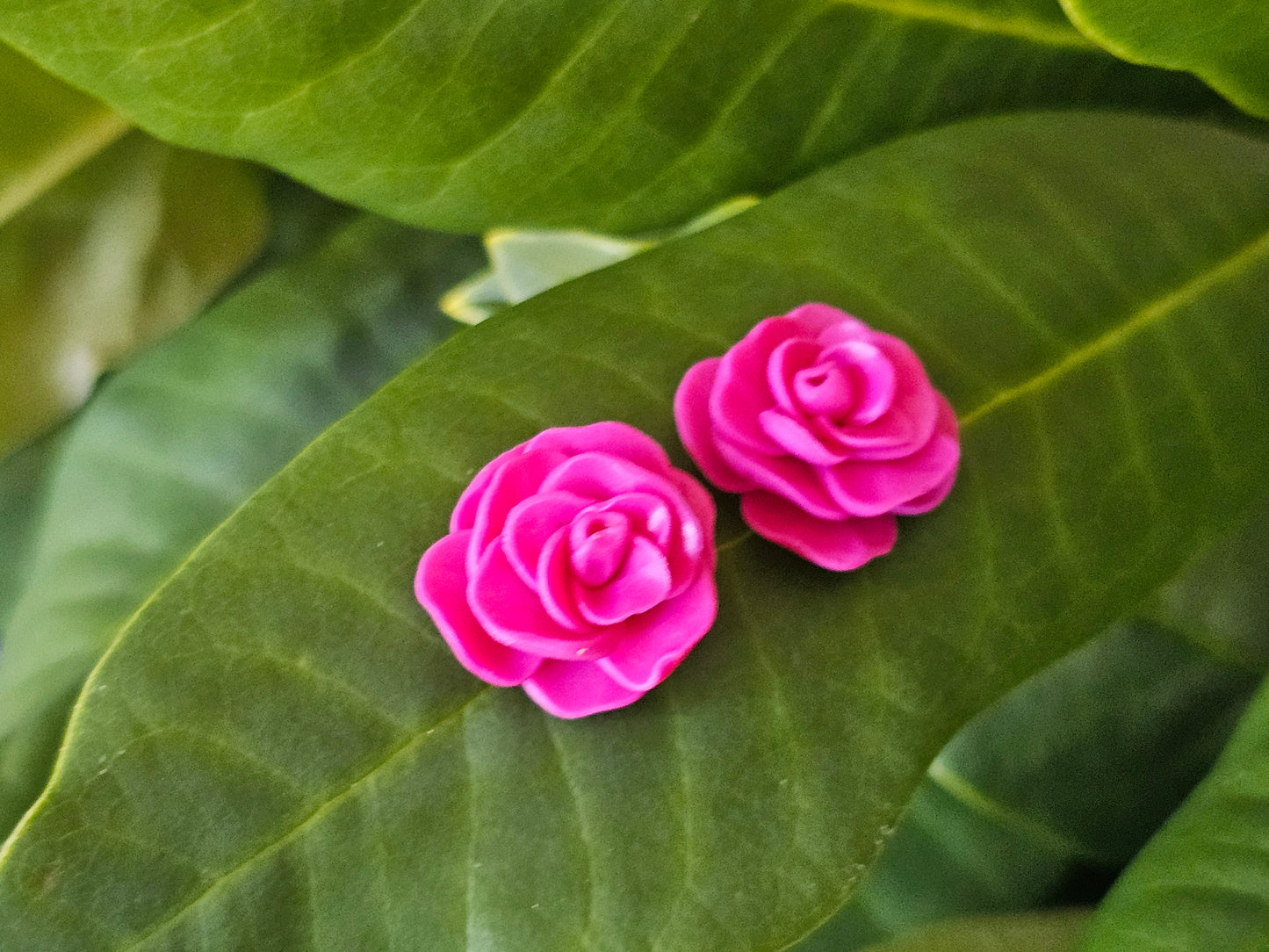 Cammellia Studs Magenta