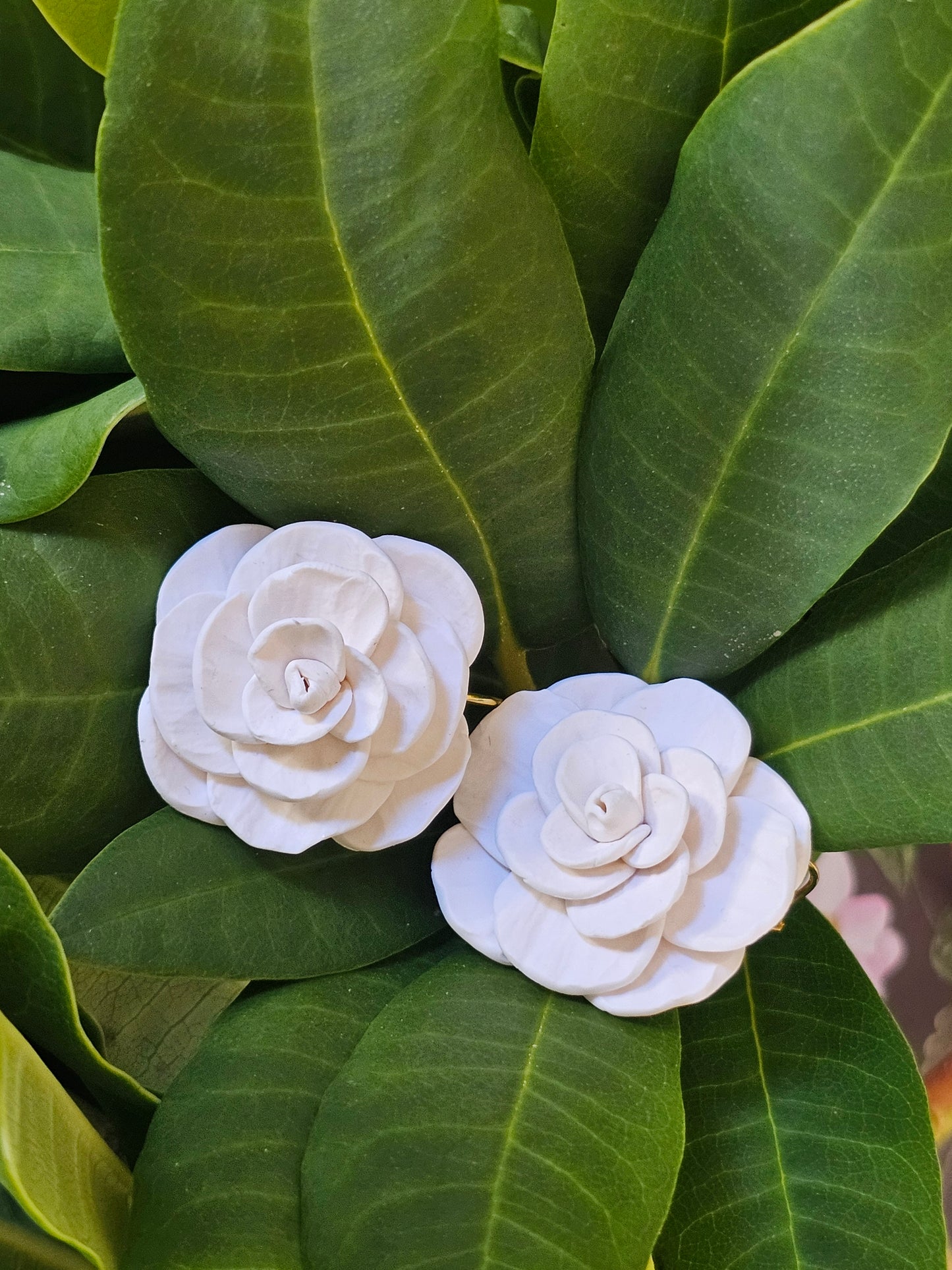 Cammellia French Hook Earrings White